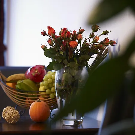 דירה Appartementhaus Am Schloss וויימר